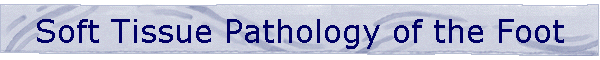 Soft Tissue Pathology of the Foot